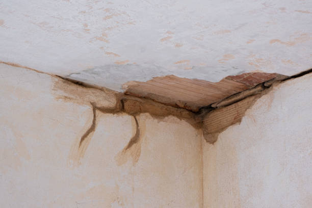Best Carpet water damage restoration  in Franklin Lakes, NJ