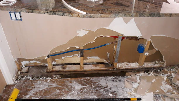Best Basement water damage restoration  in Franklin Lakes, NJ