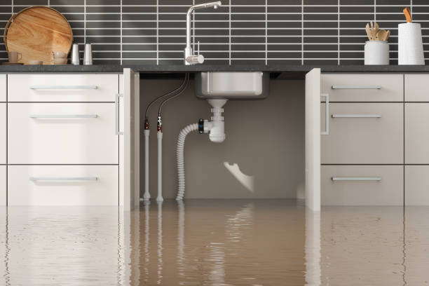 Best Sewage cleanup and water damage restoration  in Franklin Lakes, NJ